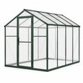 Gewächshaus Aluminium Polycarbonat Grün/Transparent 250x190x195 cm