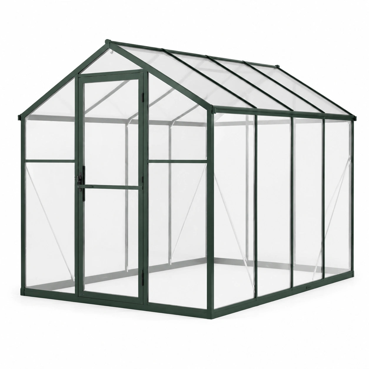 Gewächshaus Aluminium Polycarbonat Grün/Transparent 250x190x195 cm
